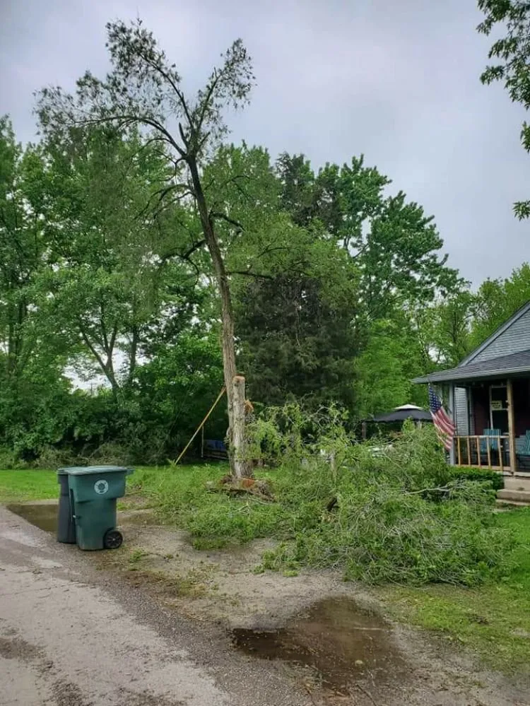 Top-rated yard cleanup service experts serving Muncie, IN - DG Tree Trimming and Removal