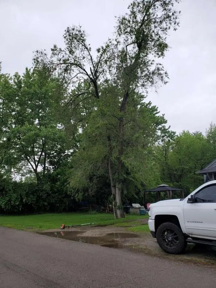 Custom residential landscaping for outdoor upgrades in Muncie, IN by DG Tree Trimming and Removal
