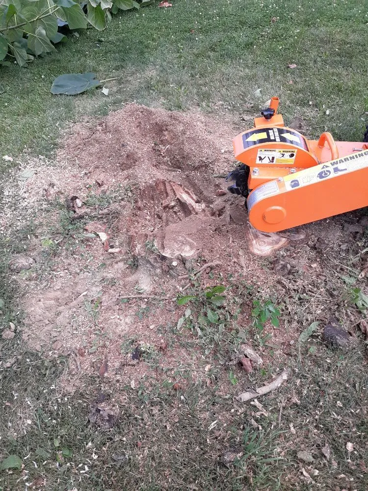 Top-rated residential landscaping near you in Muncie, IN by DG Tree Trimming and Removal