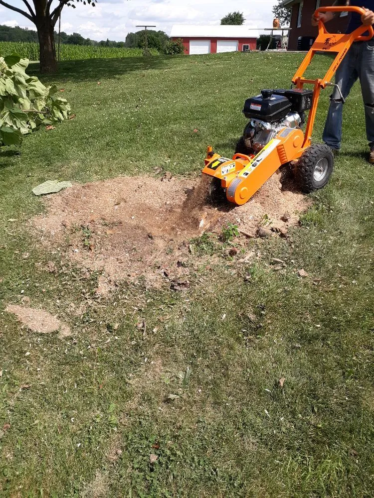 Custom landscape installation in Muncie, IN - DG Tree Trimming and Removal