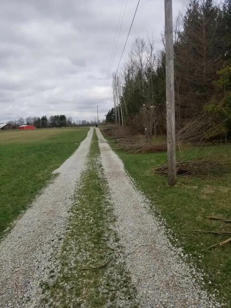 Professional landscape installation experts serving Muncie, IN - DG Tree Trimming and Removal