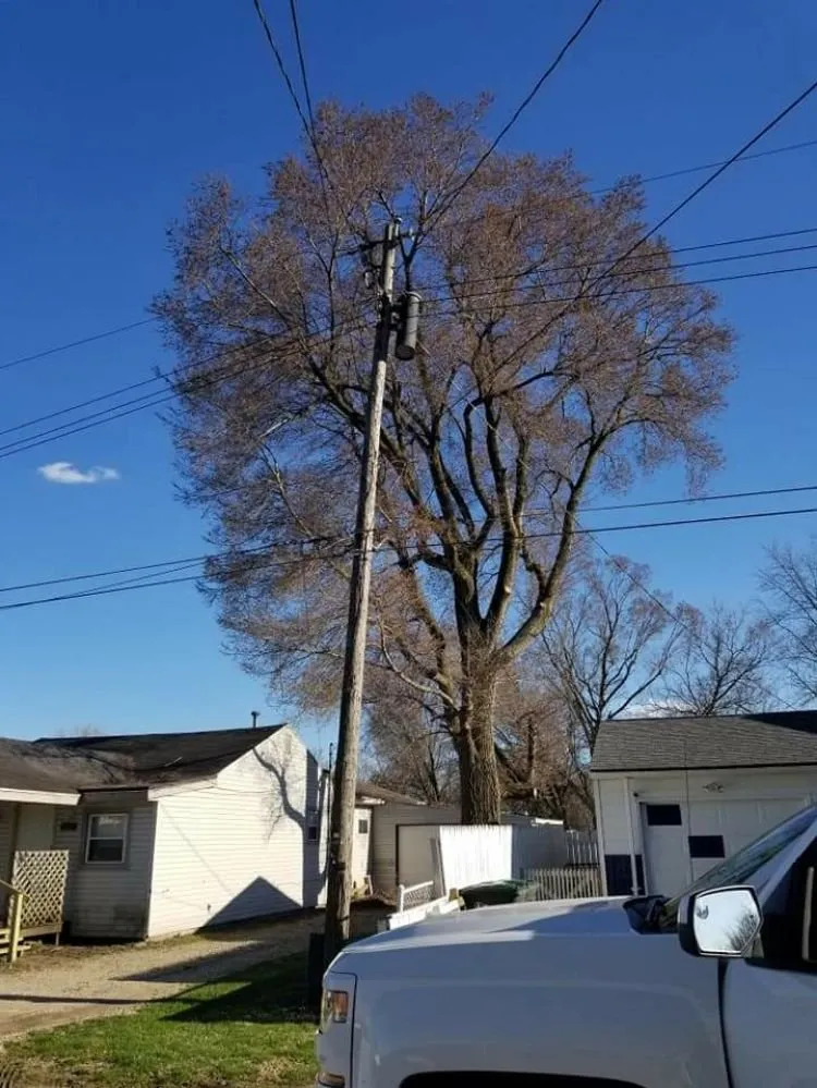 Trusted landscape installation near you in Muncie, IN by DG Tree Trimming and Removal