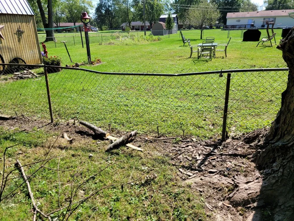 Local landscape design in Muncie, IN by DG Tree Trimming and Removal