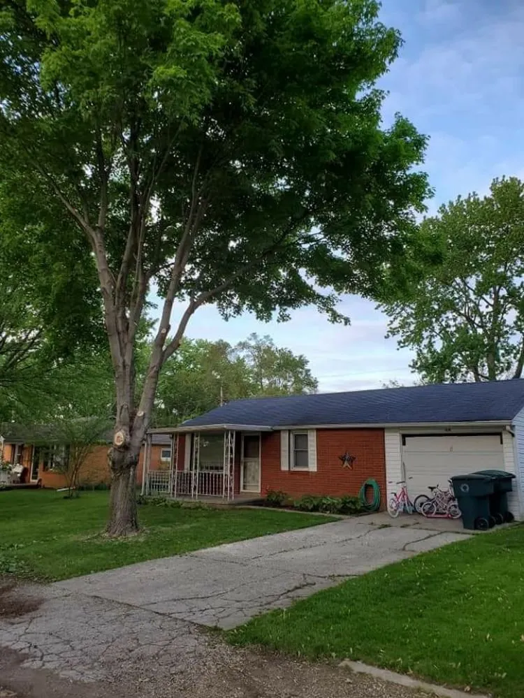 Reliable yard maintenance in Muncie, IN - DG Tree Trimming and Removal