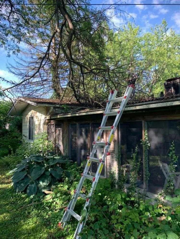 Reliable yard maintenance experts serving Muncie, IN - DG Tree Trimming and Removal