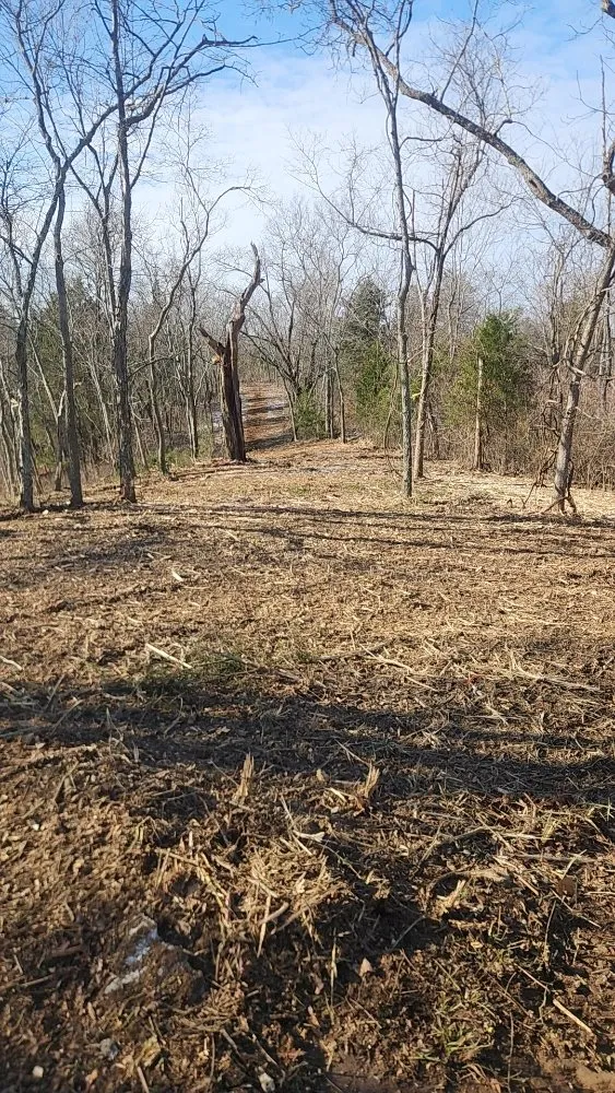 Top-rated outdoor landscaping near you in Cynthiana, KY by DGK Land Management