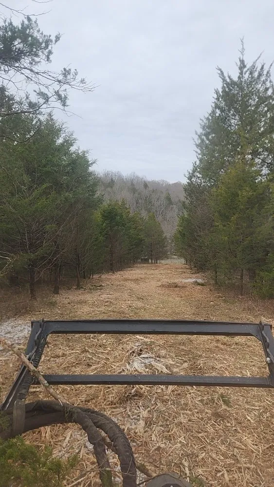 Local residential landscaping experts serving Cynthiana, KY - DGK Land Management