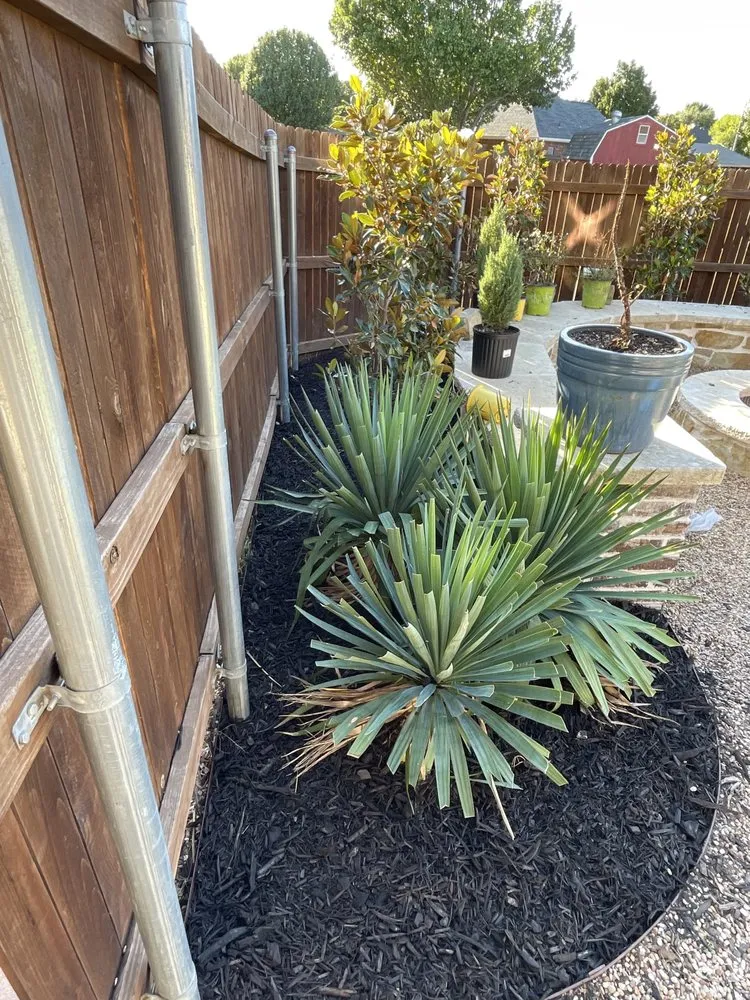 Reliable lawn mowing service experts serving Fort Worth, TX - DGO Landscaping & Irrigation