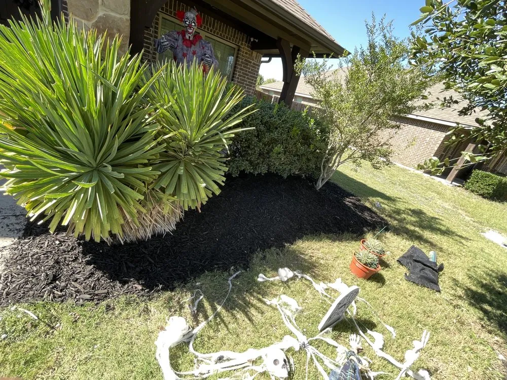 Reliable landscaping services for beautiful yards across Fort Worth, TX - DGO Landscaping & Irrigation