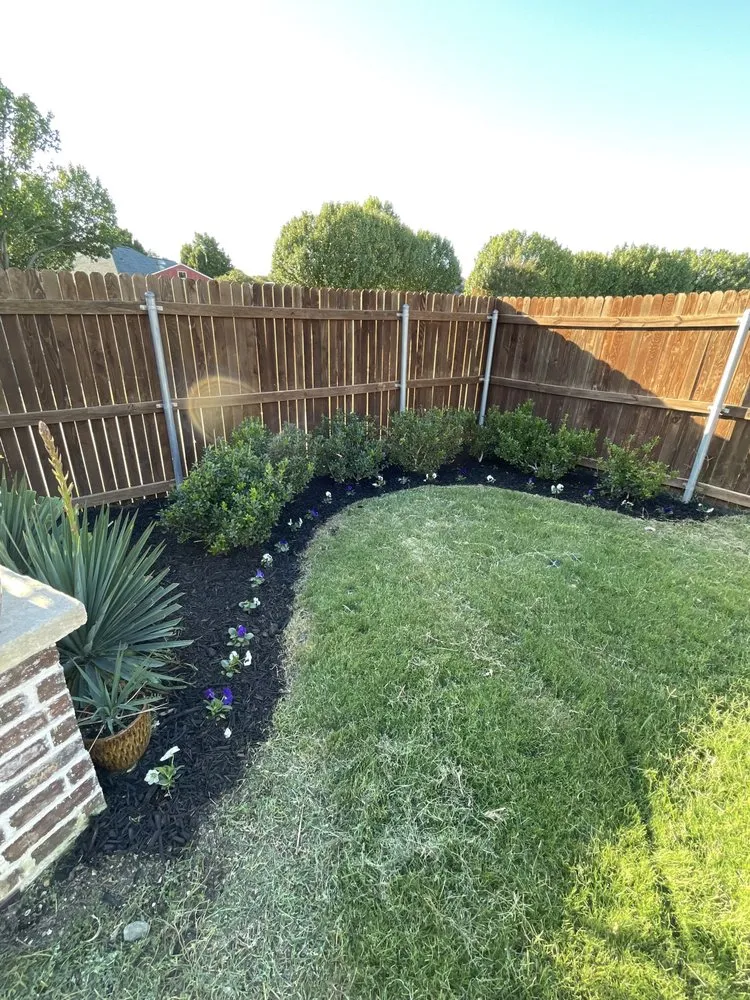 Custom yard cleanup service in Fort Worth, TX - DGO Landscaping & Irrigation