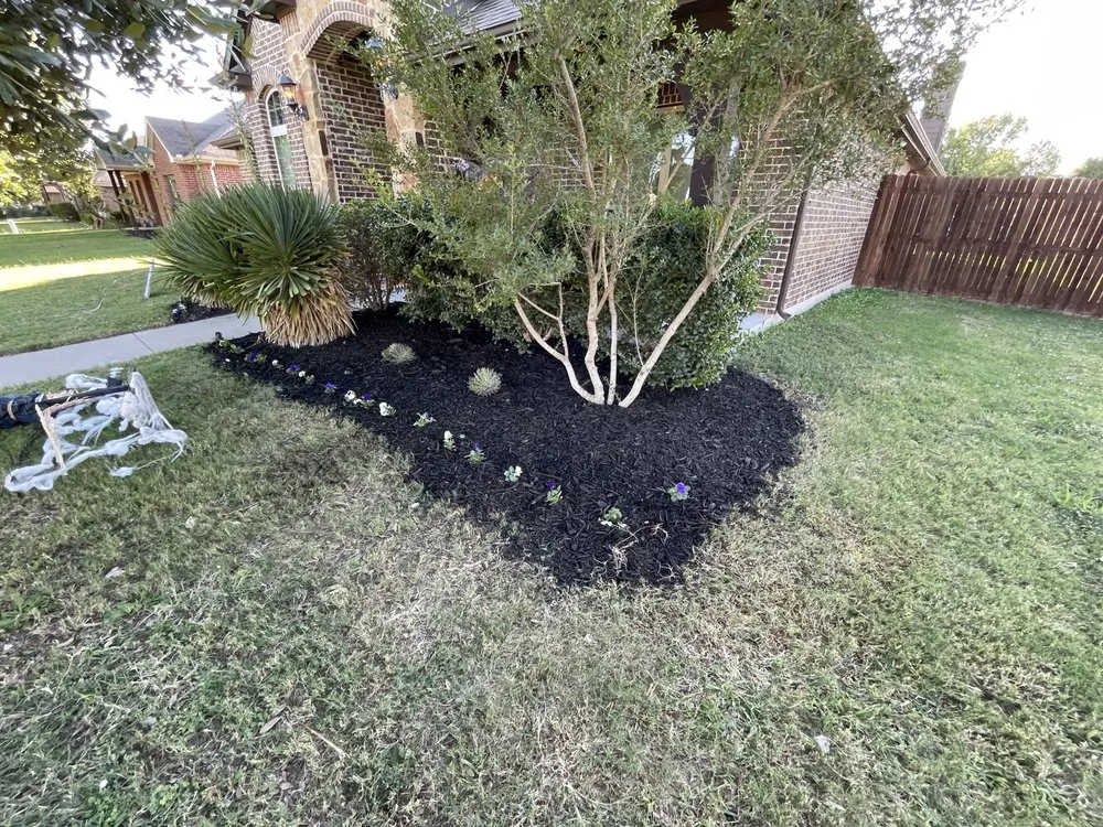 Custom garden landscaping in Fort Worth, TX by DGO Landscaping & Irrigation