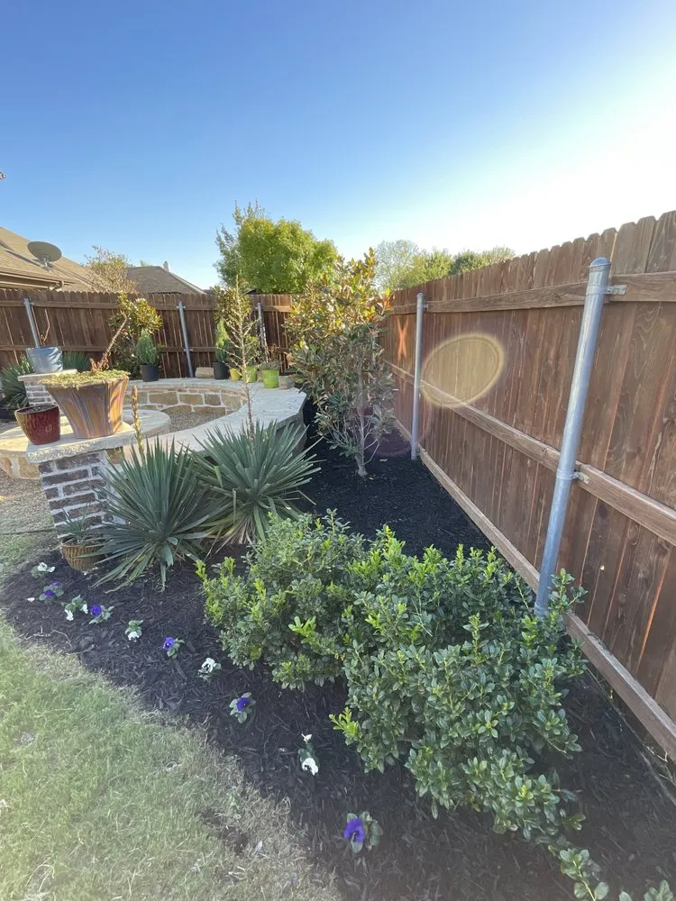 Affordable outdoor landscaping for year-round maintenance in Fort Worth, TX by DGO Landscaping & Irrigation