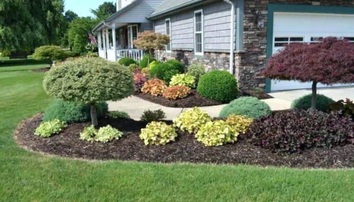 Local yard cleanup service in Decatur, TX - DGO Landscaping Services
