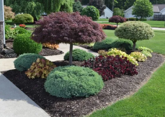 Professional landscape installation for outdoor upgrades in Decatur, TX by DGO Landscaping Services