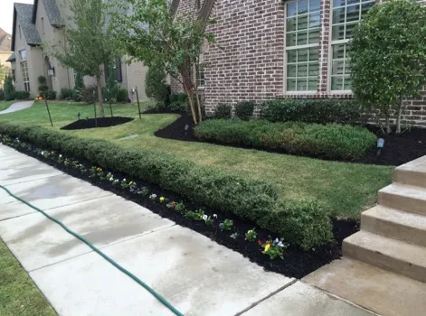 Expert yard maintenance in Decatur, TX - DGO Landscaping Services