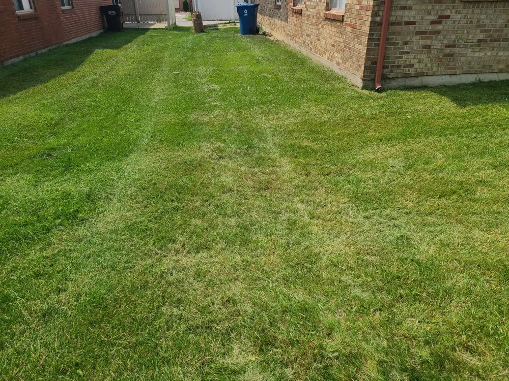 Custom yard maintenance in West Alexandria, OH by DGO Lawn Care