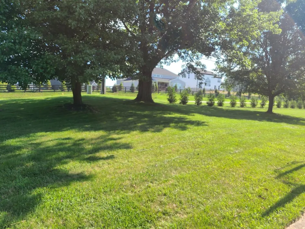 Local lawn care service for homes in West Alexandria, OH by DGO Lawn Care