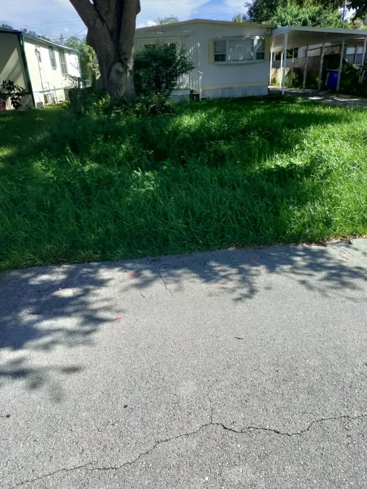 Top-rated outdoor landscaping for beautiful yards in Cocoa, FL by DGR Wow Lawn Care