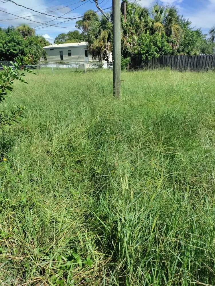 Affordable landscape installation for homes in Cocoa, FL by DGR Wow Lawn Care