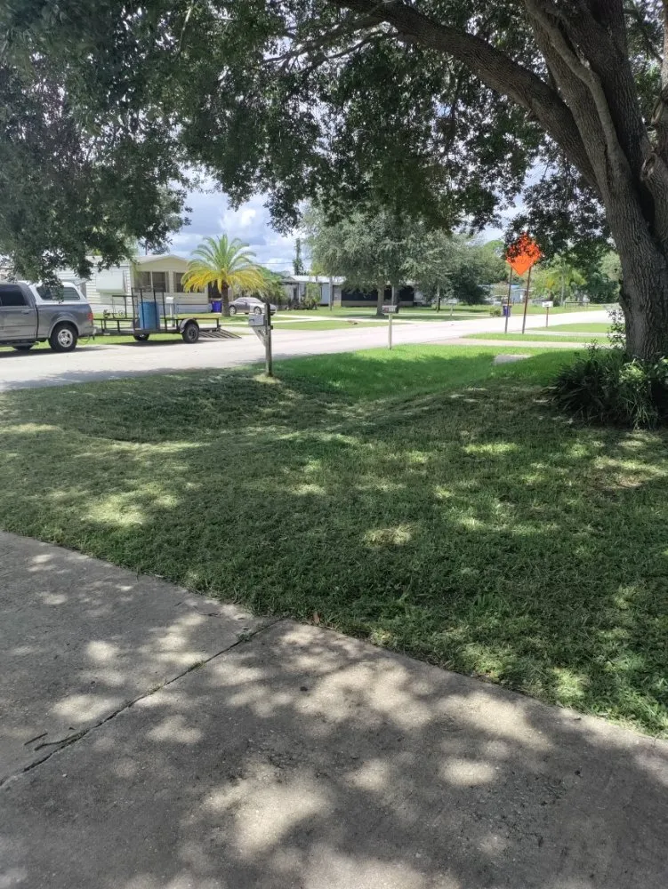 Reliable lawn care service in Cocoa, FL by DGR Wow Lawn Care