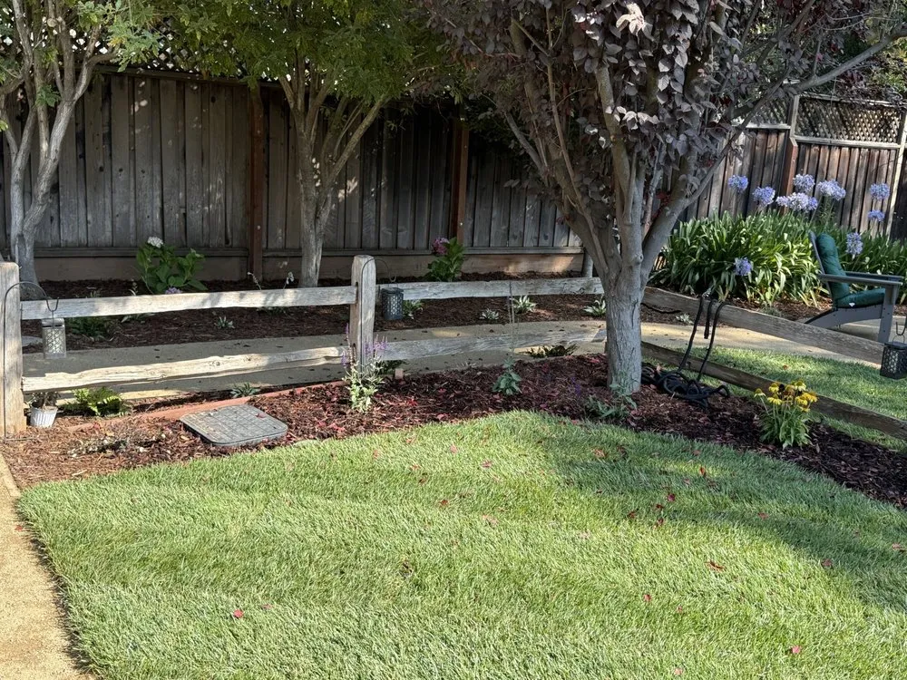 Reliable landscaping services for year-round maintenance in Santa Clara, CA by DGS Landscape Construction