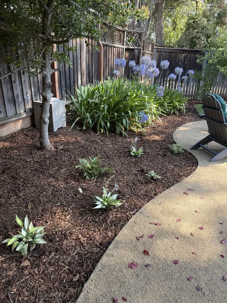 Reliable landscape installation in Santa Clara, CA by DGS Landscape Construction