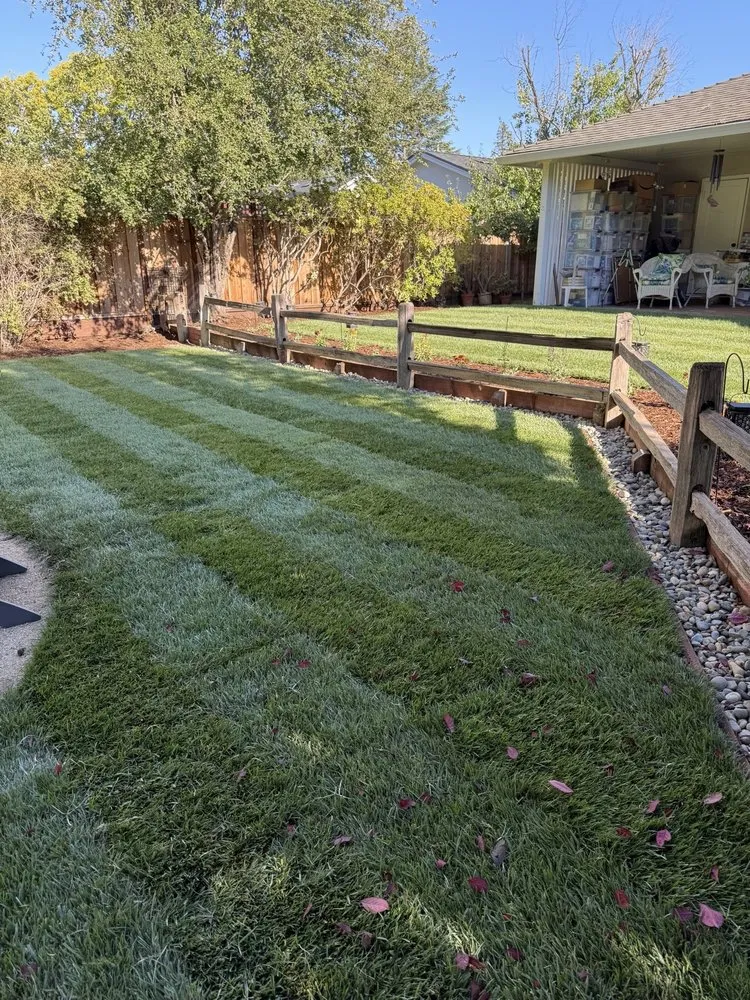 Professional landscape design for year-round maintenance in Santa Clara, CA by DGS Landscape Construction