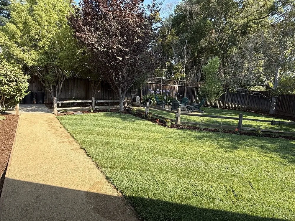 Custom landscape design in Santa Clara, CA - DGS Landscape Construction