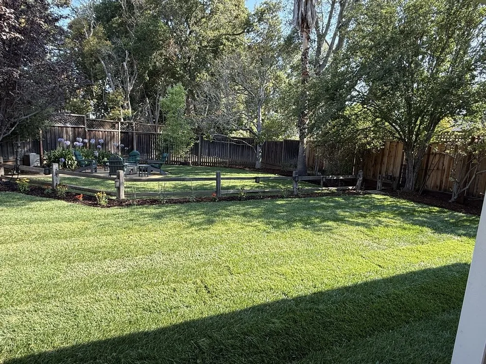 Custom yard cleanup service in Santa Clara, CA by DGS Landscape Construction