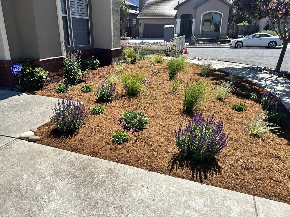Professional lawn mowing service in Santa Clara, CA by DGS Landscape Construction