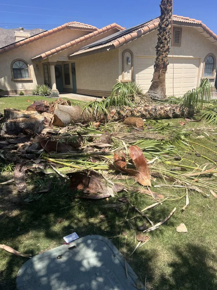 Local garden landscaping for residential properties in Thousand Palms, CA by Dg's Landscape