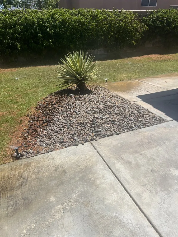 Professional residential landscaping with custom design across Thousand Palms, CA - Dg's Landscape