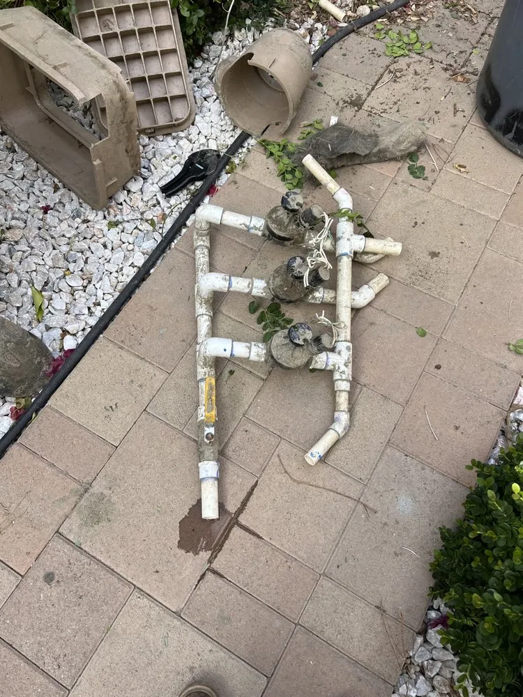 Local lawn care service for year-round maintenance in Thousand Palms, CA by Dg's Landscape