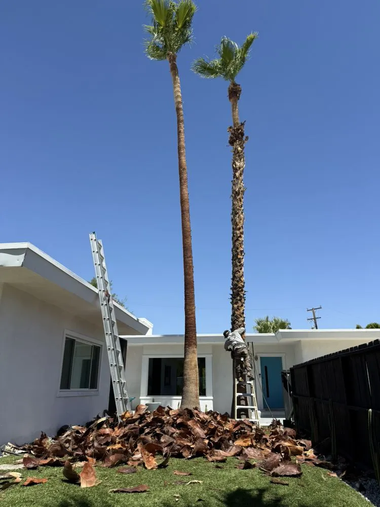 Affordable landscape design in Thousand Palms, CA by Dg's Landscape