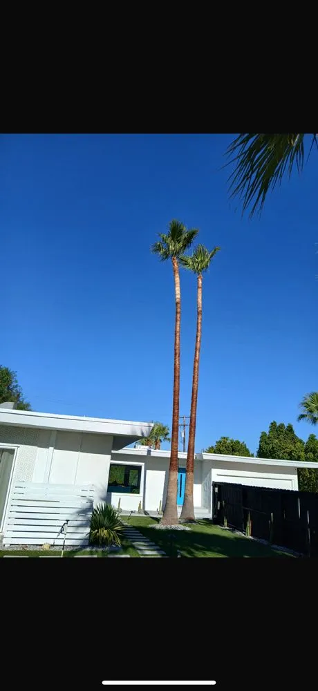 Top-rated landscape installation experts serving Thousand Palms, CA - Dg's Landscape