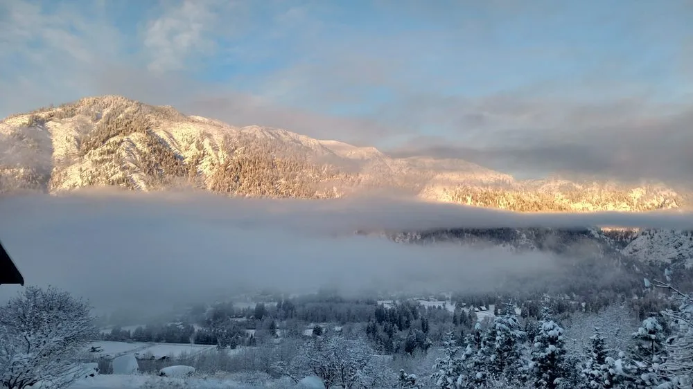 Trusted yard cleanup service in Cashmere, WA by DGS Landscaping & Irrigation Systems