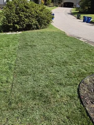 DGS Landscaping Logo