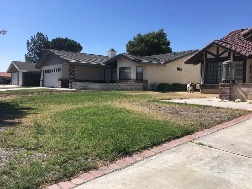 Professional landscaping services in Victorville, CA - DG's Lawncare