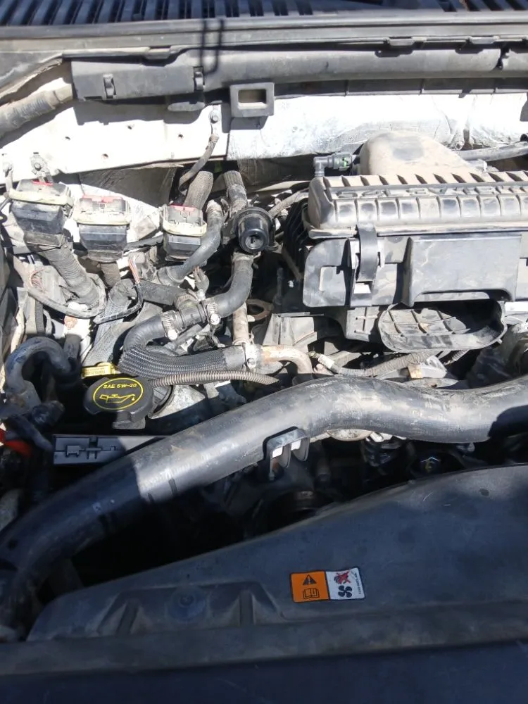 Expert landscaping services in Lake Charles, LA by DGT's Services