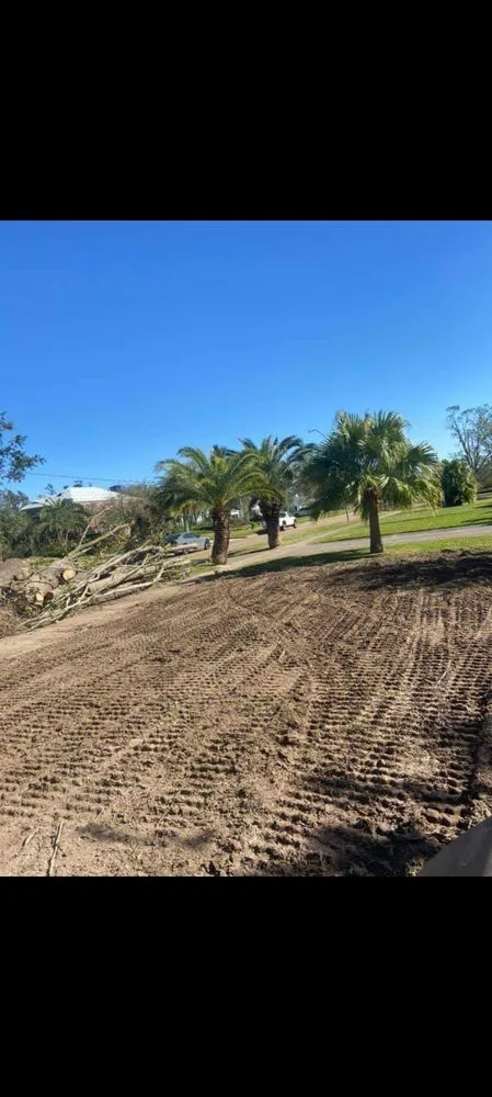 Expert yard cleanup service in Lake Charles, LA by DGT's Services