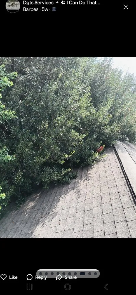 Top-rated lawn mowing service in Lake Charles, LA by DGT's Services