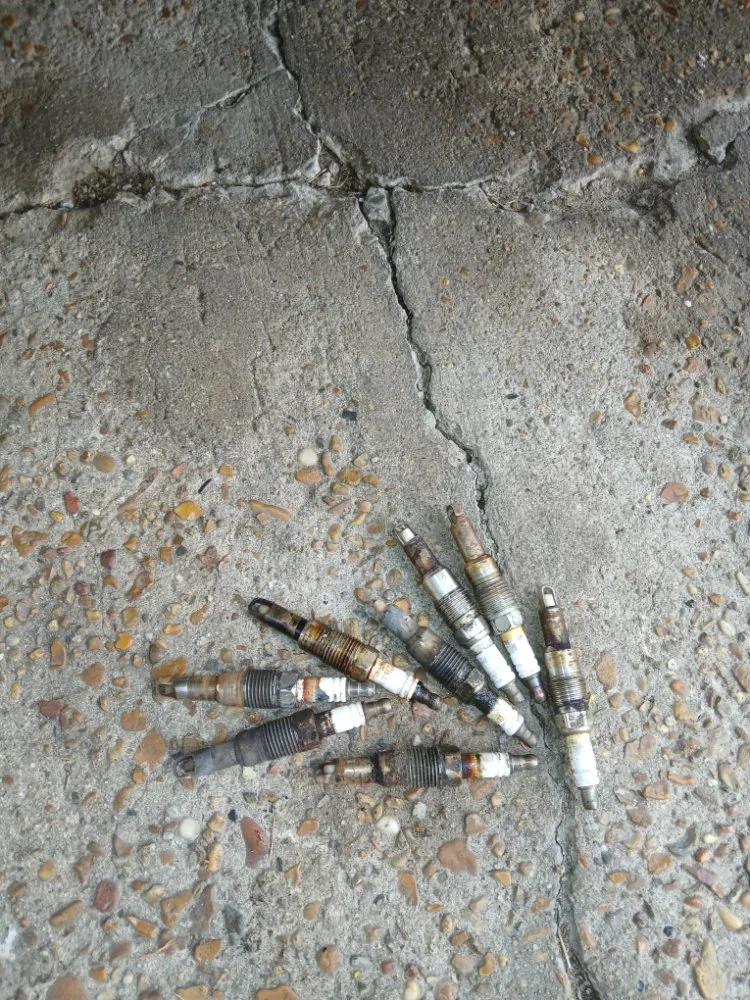 Trusted landscape installation in Lake Charles, LA by DGT's Services