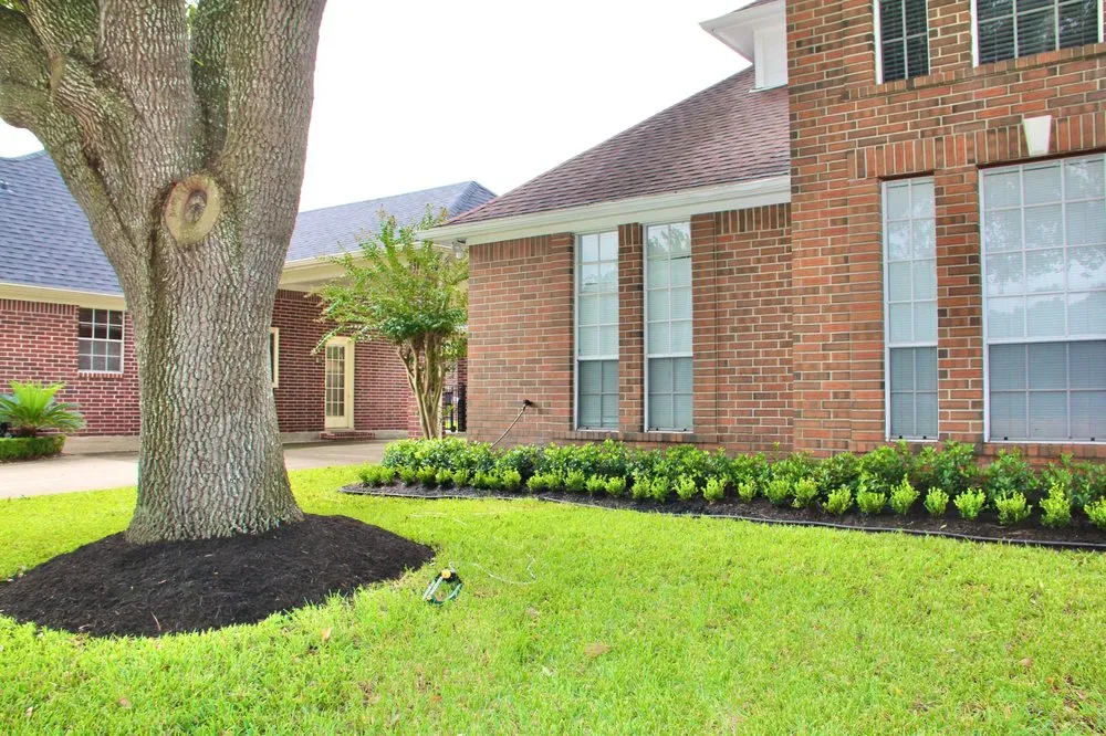 Affordable lawn care service for homes across Houston, TX - D&H Gardening