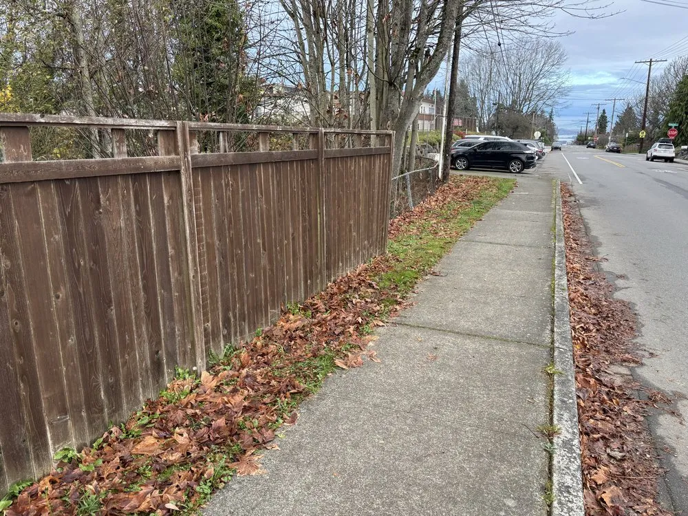 Affordable yard cleanup service in Seattle, WA by DH Hauling and Demo