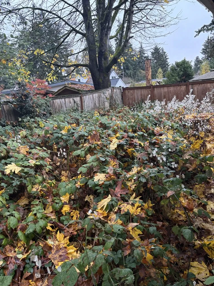 Reliable landscape design experts serving Seattle, WA - DH Hauling and Demo