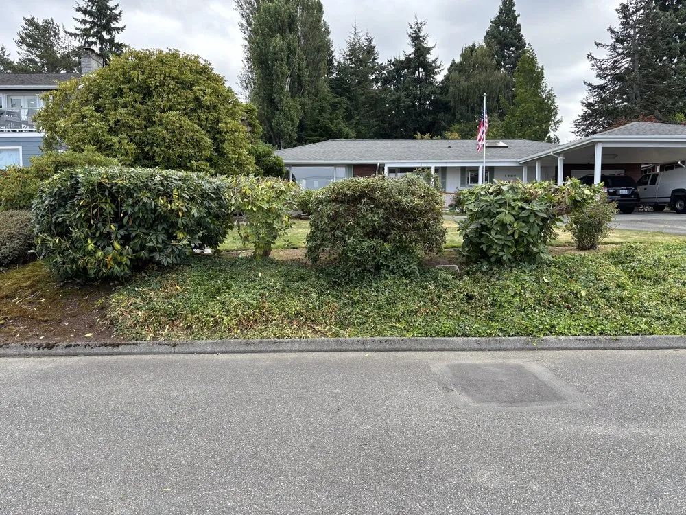 Trusted lawn mowing service experts serving Seattle, WA - DH Hauling and Demo