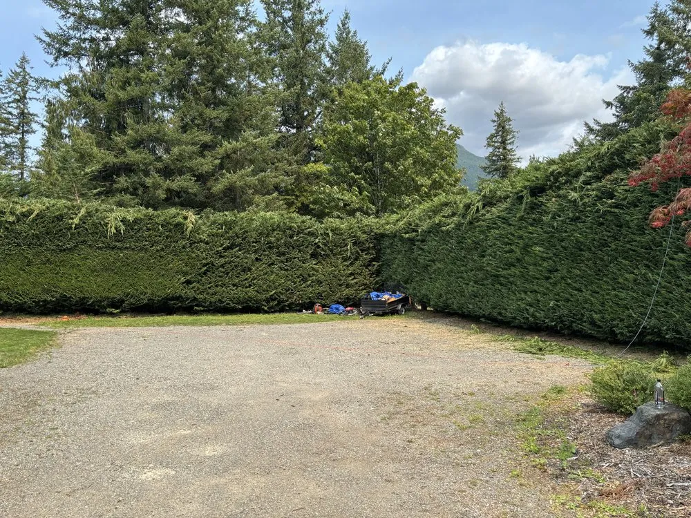 Expert landscape design in Seattle, WA by DH Hauling and Demo
