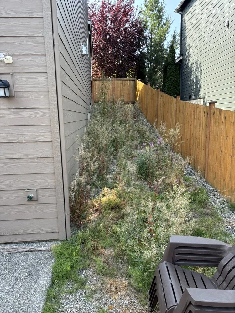 Local landscape installation experts serving Seattle, WA - DH Hauling and Demo