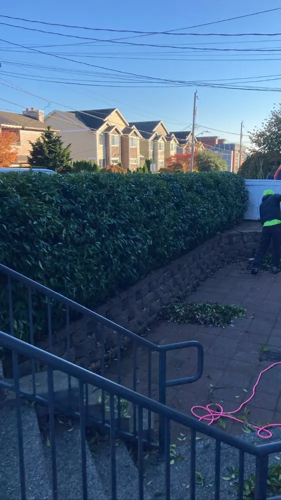 Trusted yard maintenance in Seattle, WA by DH Hauling and Demo