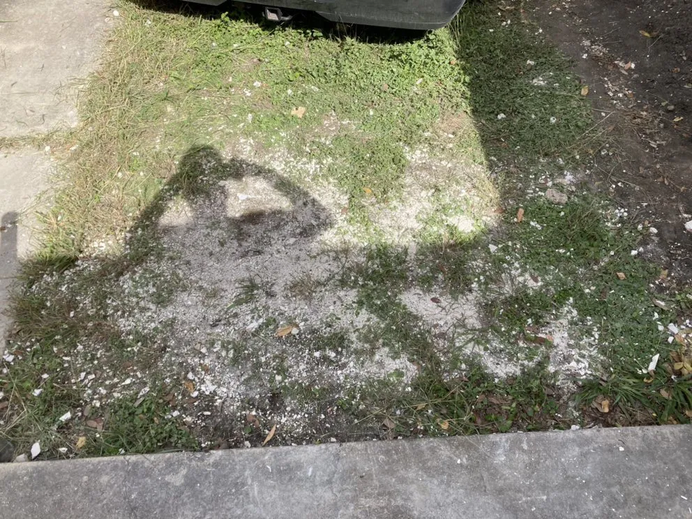 Top-rated yard maintenance for beautiful yards in Seattle, WA by DH Hauling and Demo